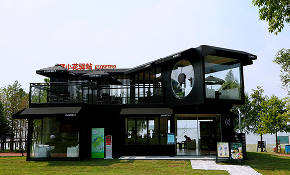 纵横国际